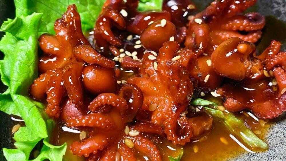 Baby  Octopus