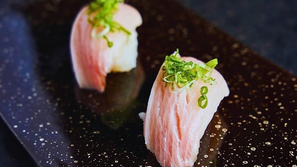 Yellow Tail Belly